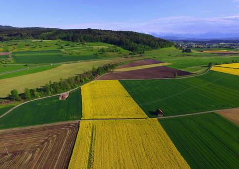 5 українських стартапів у сфері аграрних інновацій