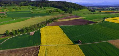 5 українських стартапів у сфері аграрних інновацій
