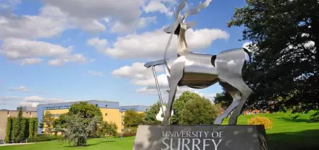 University of Surrey