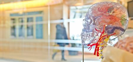 Здобуваємо медичну освіту за кордоном: способи, особливості та вартість