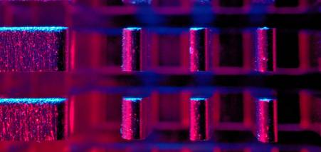 Спеціаліст з кібербезпеки: чим займається, де навчається і які перспективи?