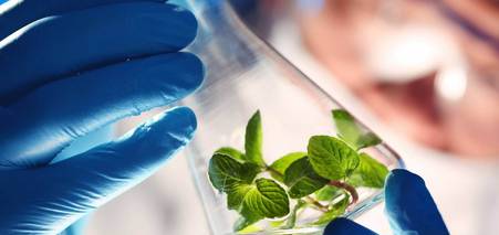 ТОП 10 університетів для вивчення біоінженерії та біотехнологій за кордоном