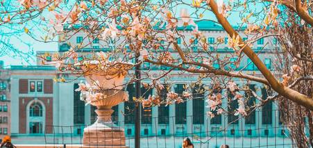 Варто чи ні: трансфер до іноземного університету