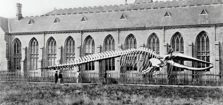 Stanford University презентував модель вищої освіти майбутнього