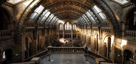 Навчання у Великобританії для українців: вартість навчання та рекомендації