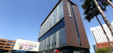 Yeungnam University College